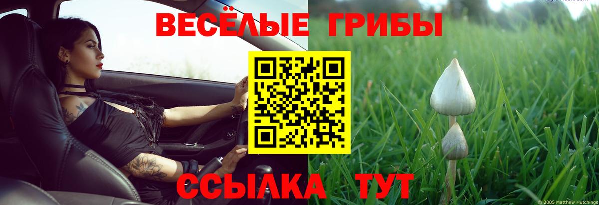 Советск  Псилоцибиновые грибы Psilocybine cubensis  Вход с VPN  Галлюциногенные грибы Magic Shrooms 